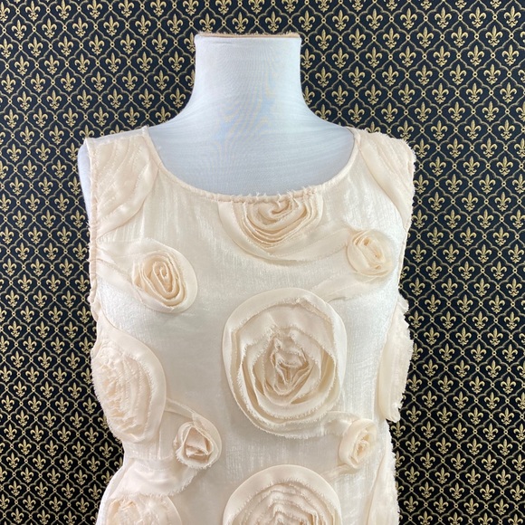 Anthro “Whirled Roses Tank” by Baraschi - Picture 2 of 11